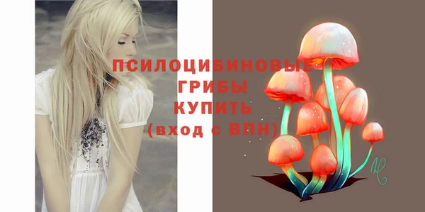 винт Алексеевка