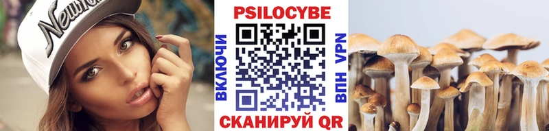 Псилоцибиновые грибы мухоморы  магазин    Ефремов 